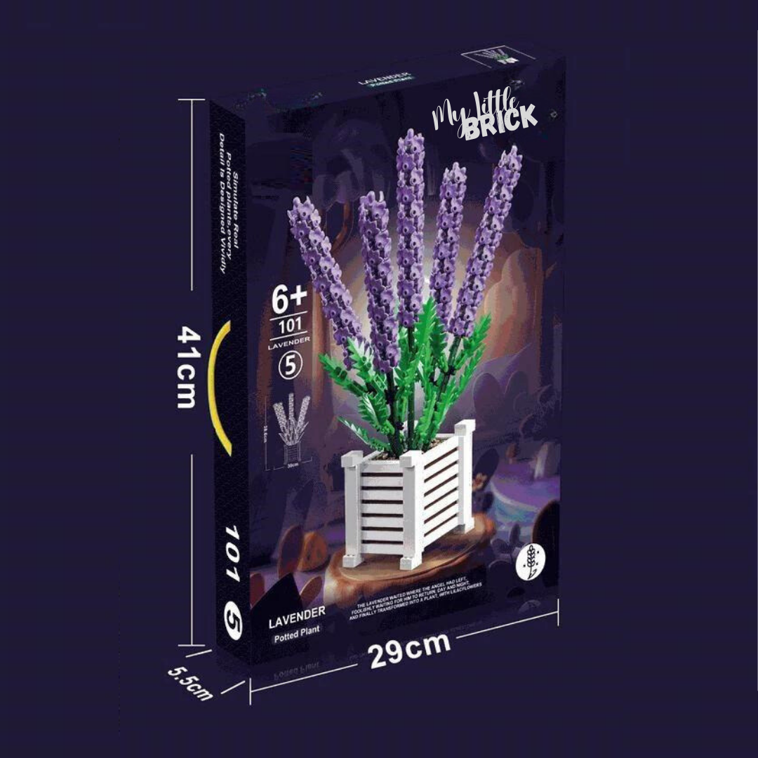 Le lilas