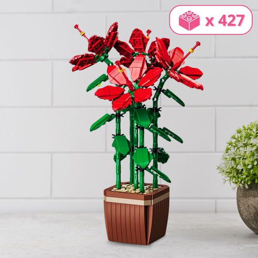 L'hibiscus rouge
