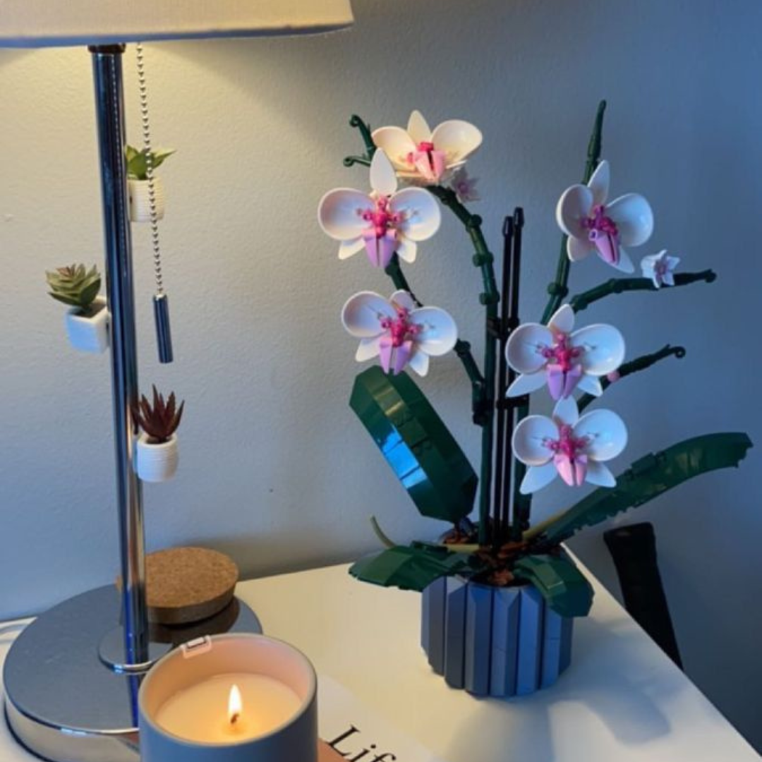 L'orchidée